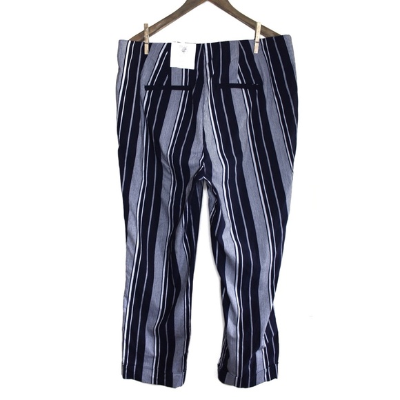 Roz & Ali Stripe Pull On Classic Fit Ankle Pant 16 - Picture 4 of 8